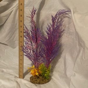 Large pink and purple aquarium plant